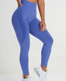 Legging Sport Sans Couture - Slim & Taille Haute - Legging Femme